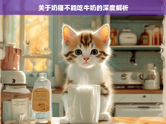 关于奶猫不能吃牛奶的深度解析