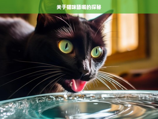 关于猫咪舔嘴的探秘