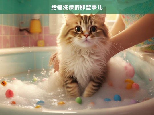 给猫洗澡的那些事儿