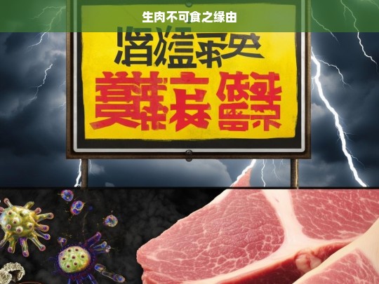 生肉不可食之缘由