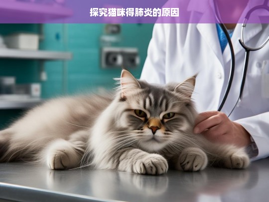 探究猫咪得肺炎的原因