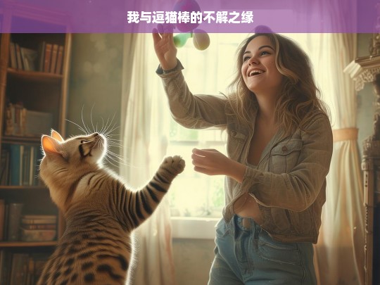 我与逗猫棒的不解之缘