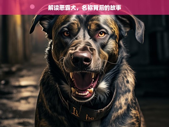 解读恶霸犬，名称背后的故事