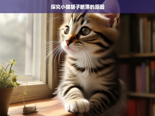 探究小猫胡子断落的原因