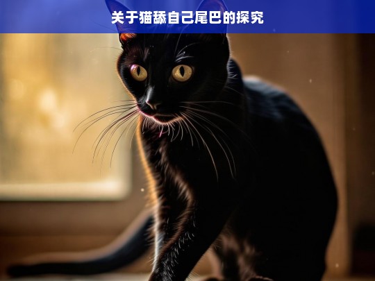 关于猫舔自己尾巴的探究