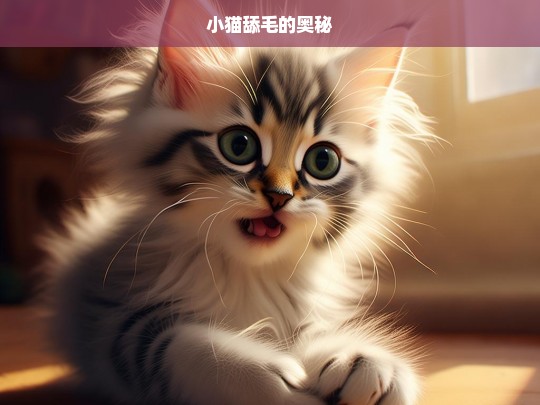 小猫舔毛的奥秘