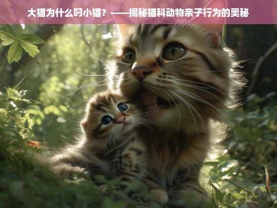 大猫为什么叼小猫？——揭秘猫科动物亲子行为的奥秘