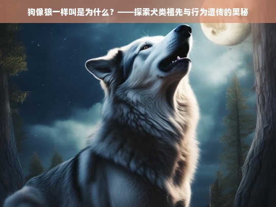 狗像狼一样叫是为什么？——探索犬类祖先与行为遗传的奥秘