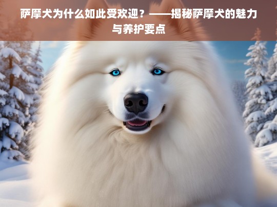 萨摩犬为什么如此受欢迎？——揭秘萨摩犬的魅力与养护要点