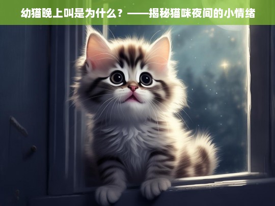 幼猫晚上叫是为什么？——揭秘猫咪夜间的小情绪