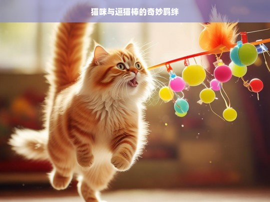 猫咪与逗猫棒的奇妙羁绊