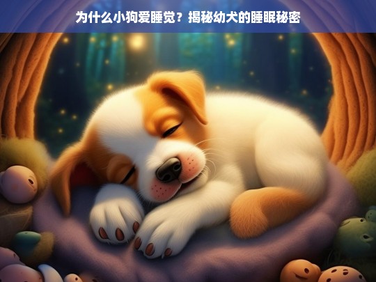 为什么小狗爱睡觉？揭秘幼犬的睡眠秘密