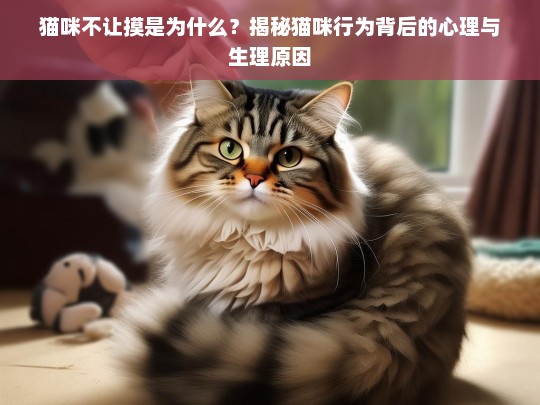 猫咪不让摸是为什么？揭秘猫咪行为背后的心理与生理原因