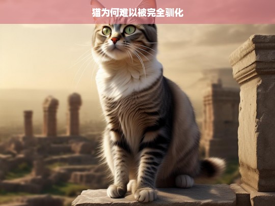 猫为何难以被完全驯化