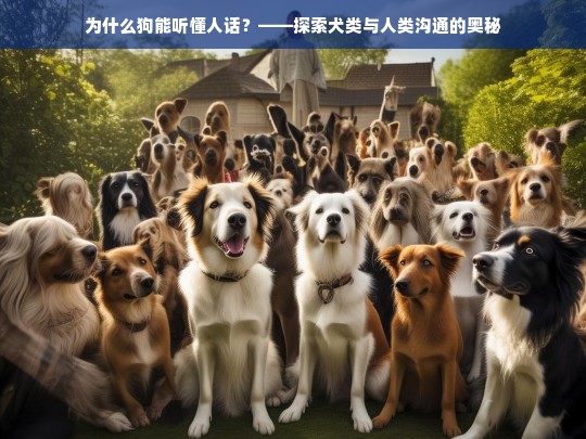 为什么狗能听懂人话？——探索犬类与人类沟通的奥秘