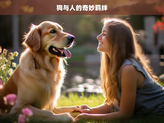 狗与人的奇妙羁绊