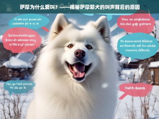 萨摩为什么爱叫？——揭秘萨摩耶犬的叫声背后的原因