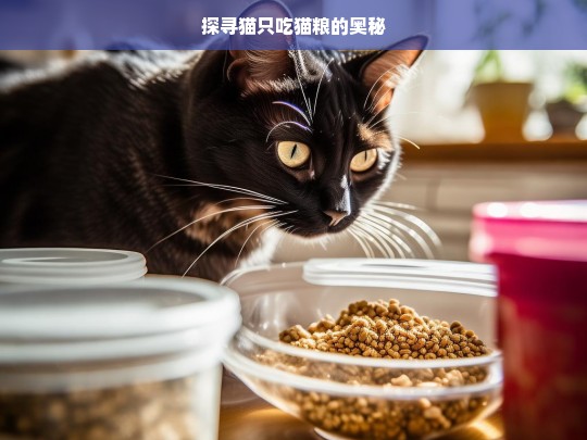 探寻猫只吃猫粮的奥秘