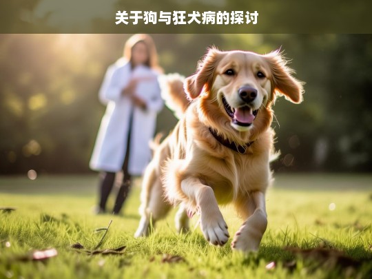 关于狗与狂犬病的探讨