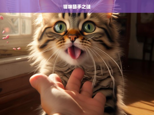 猫咪舔手之谜