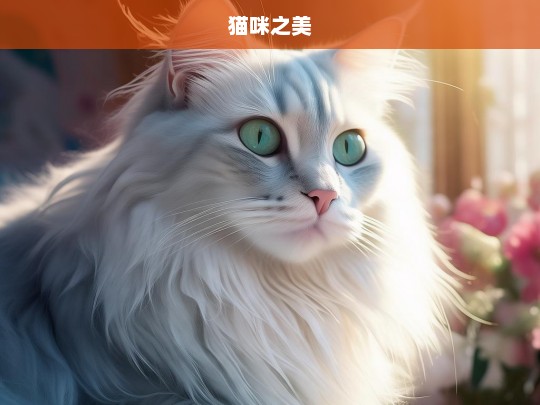 猫咪之美