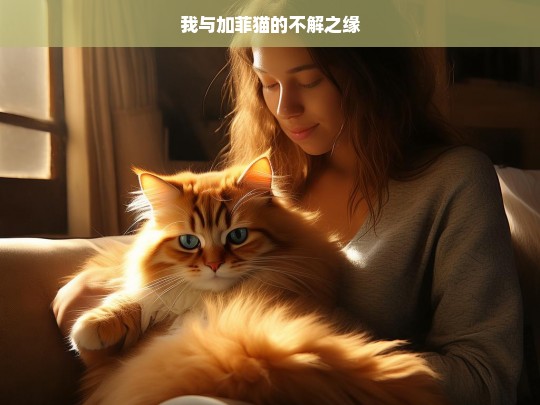 我与加菲猫的不解之缘