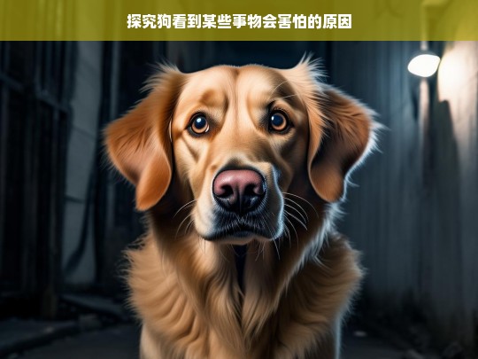 探究狗看到某些事物会害怕的原因