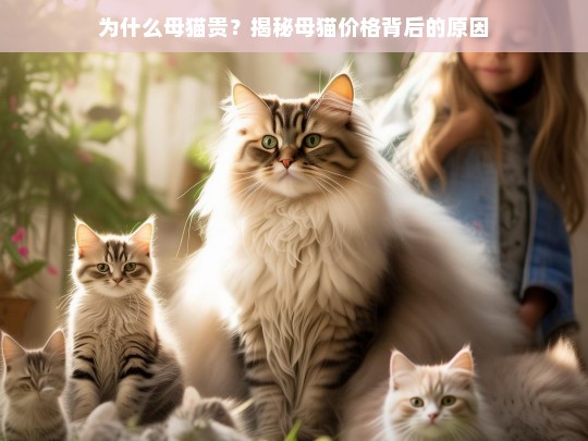 为什么母猫贵？揭秘母猫价格背后的原因