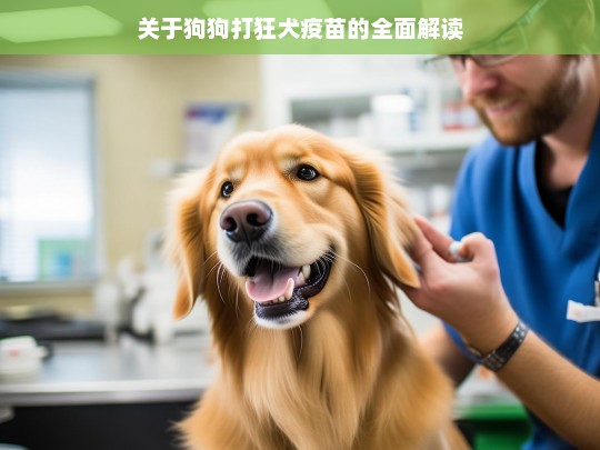 关于狗狗打狂犬疫苗的全面解读