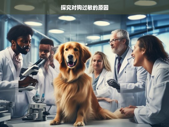 探究对狗过敏的原因