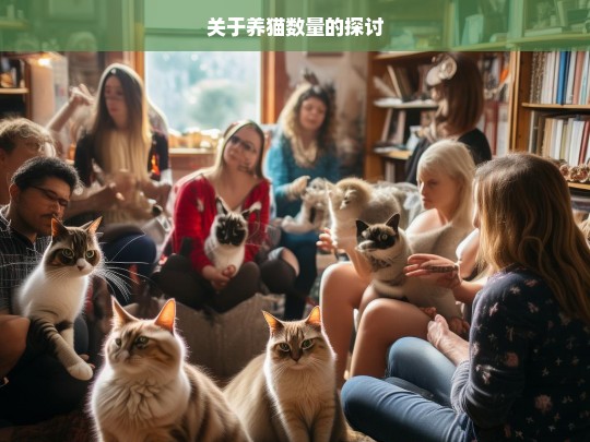 关于养猫数量的探讨