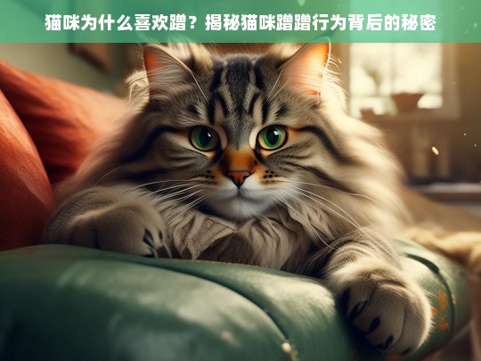 猫咪为什么喜欢蹭？揭秘猫咪蹭蹭行为背后的秘密