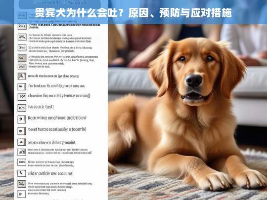 贵宾犬为什么会吐？原因、预防与应对措施