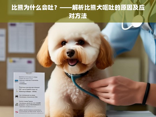 比熊为什么会吐？——解析比熊犬呕吐的原因及应对方法