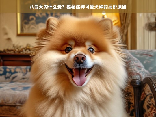 八哥犬为什么贵？揭秘这种可爱犬种的高价原因