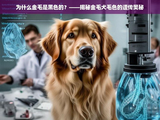 为什么金毛是黑色的？——揭秘金毛犬毛色的遗传奥秘