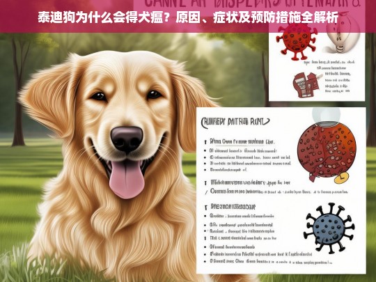 泰迪狗为什么会得犬瘟？原因、症状及预防措施全解析