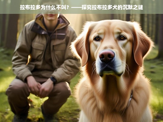 拉布拉多为什么不叫？——探究拉布拉多犬的沉默之谜