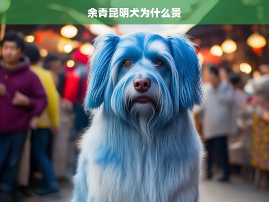 余青昆明犬为什么贵