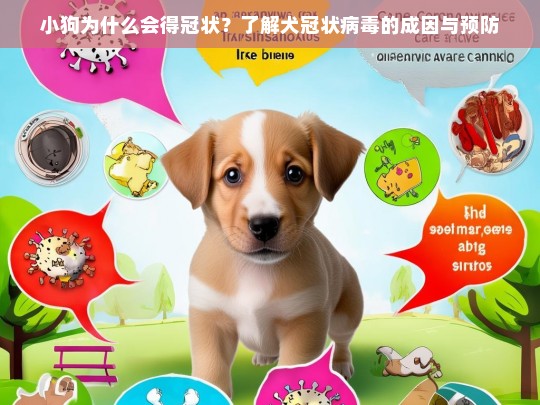 小狗为什么会得冠状？了解犬冠状病毒的成因与预防