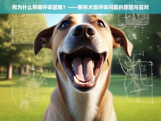 狗为什么用嘴呼吸困难？——解析犬类呼吸问题的原因与应对