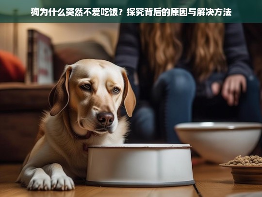 狗为什么突然不爱吃饭？探究背后的原因与解决方法