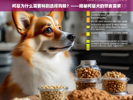 柯基为什么需要特别选择狗粮？——揭秘柯基犬的饮食需求