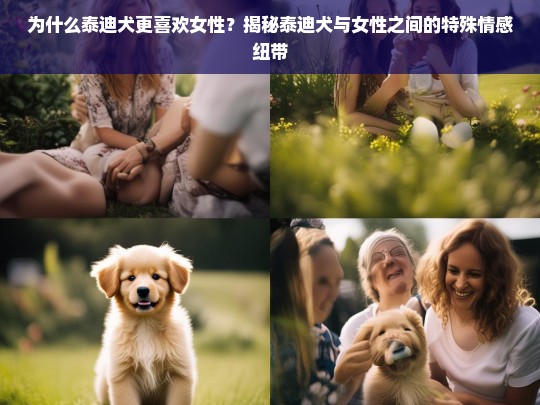 为什么泰迪犬更喜欢女性？揭秘泰迪犬与女性之间的特殊情感纽带