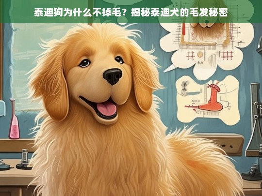 泰迪狗为什么不掉毛？揭秘泰迪犬的毛发秘密