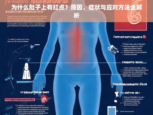 为什么肚子上有红点？原因、症状与应对方法全解析