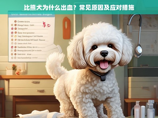 比熊犬为什么出血？常见原因及应对措施