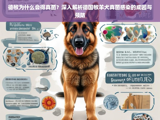 德牧为什么会得真菌？深入解析德国牧羊犬真菌感染的成因与预防