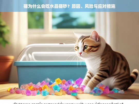 猫为什么会吃水晶猫砂？原因、风险与应对措施