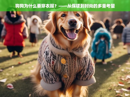 狗狗为什么要穿衣服？——从保暖到时尚的多重考量